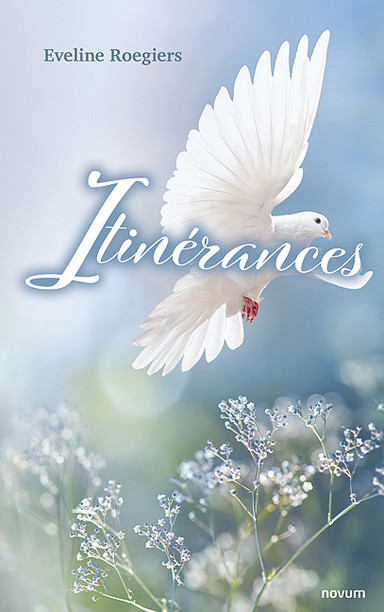Itinérances Cover: Itinérances